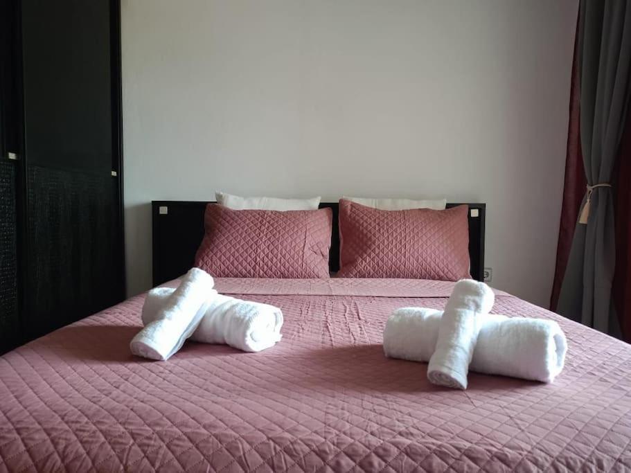 Layla Home Alexandrpoupolis Alexandroupoli Eksteriør billede